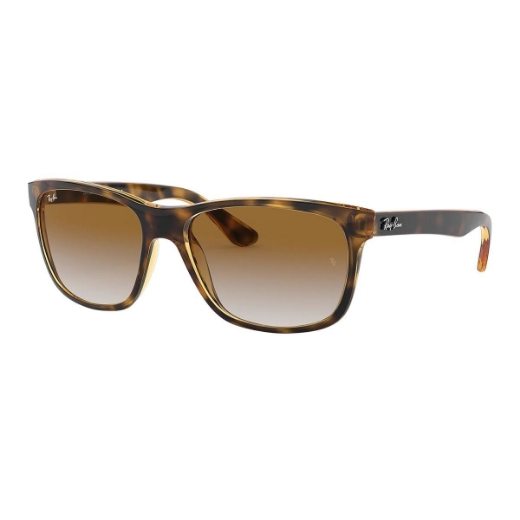 صورة Ray-Ban Brown Gradient